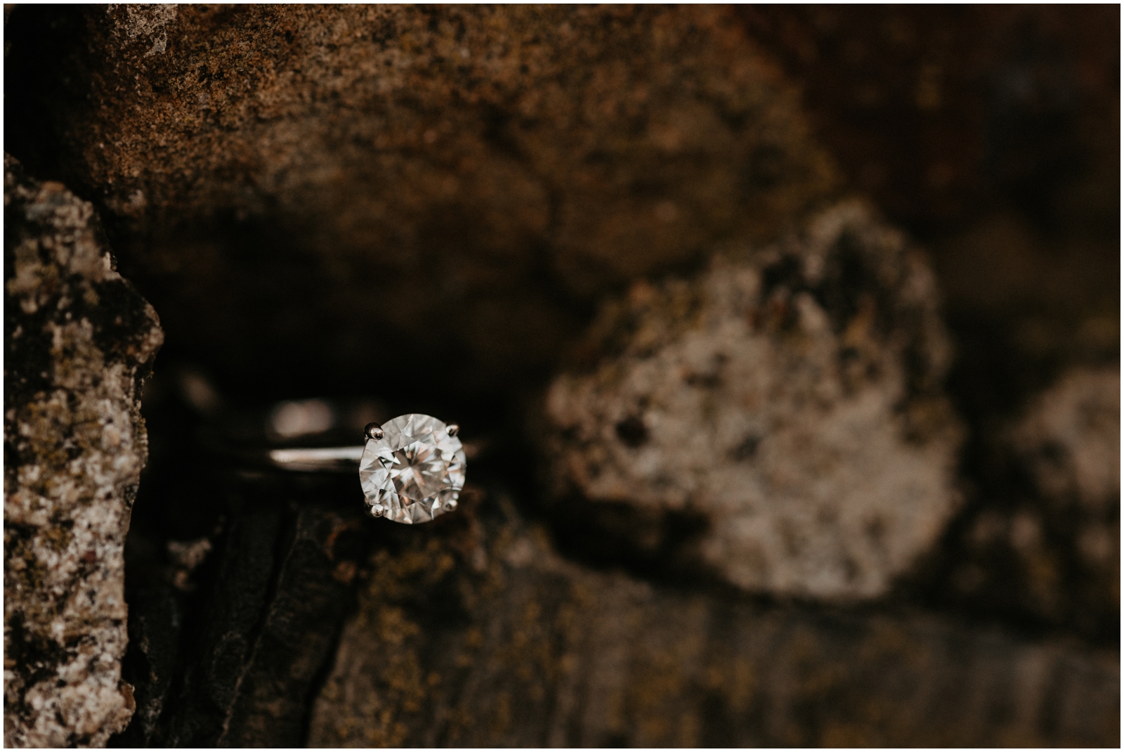 engagement ring sitting in rocks