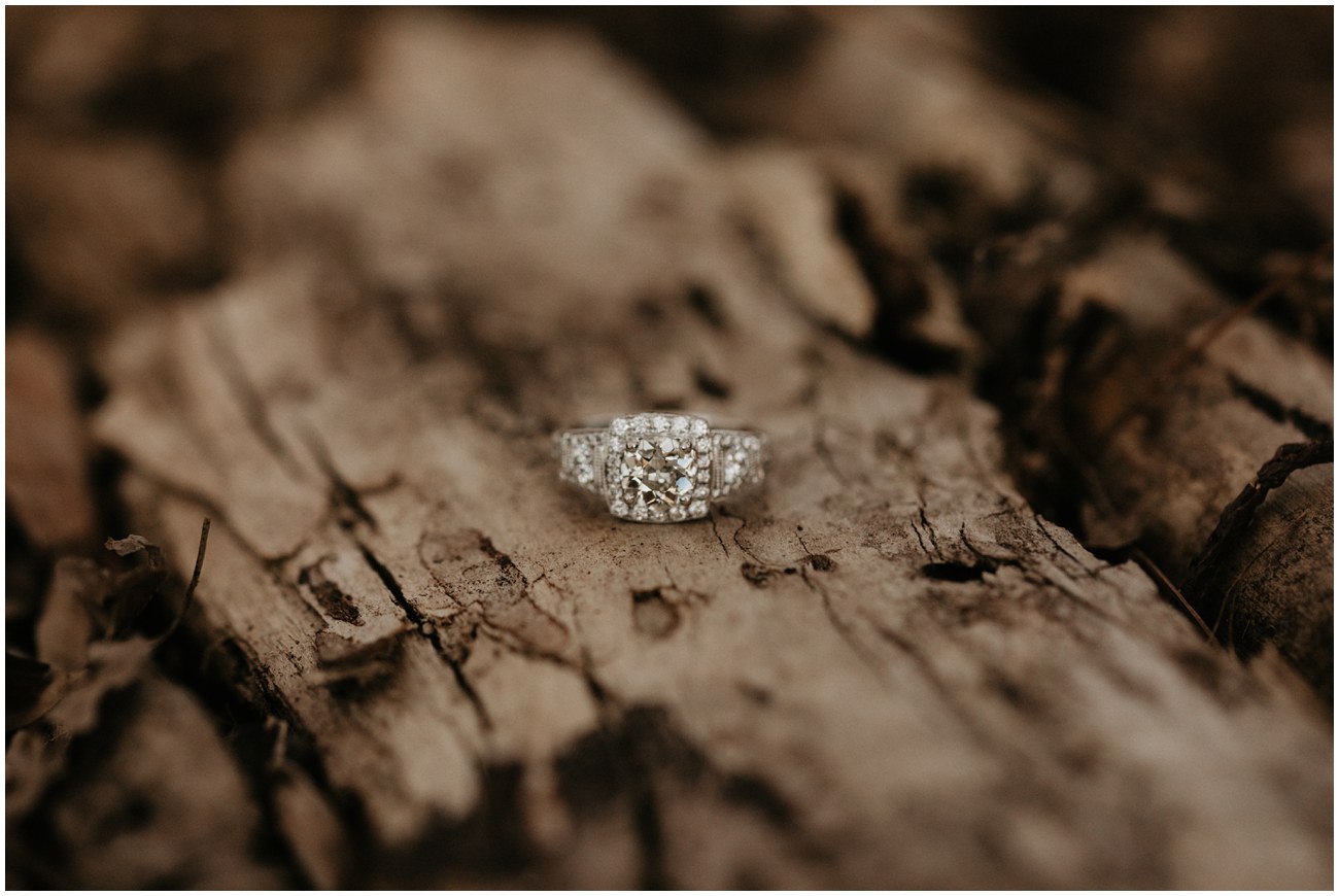 engagement ring sitting on tree branch