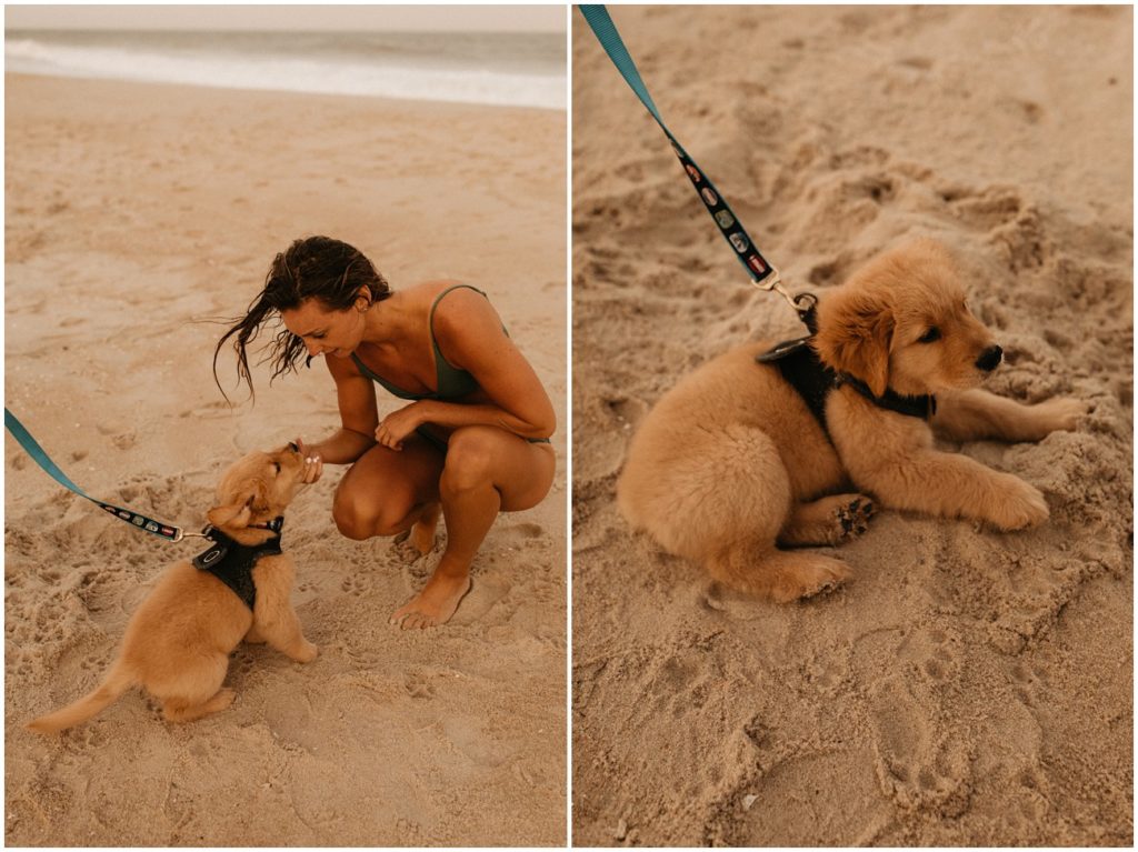 Collage of puppy and his owner on the beach