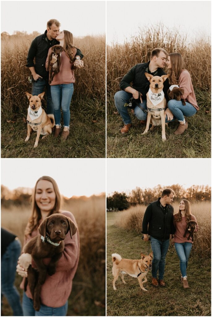 Couple with two dogs in a field  for fall Historic Smithville Park mini sessions